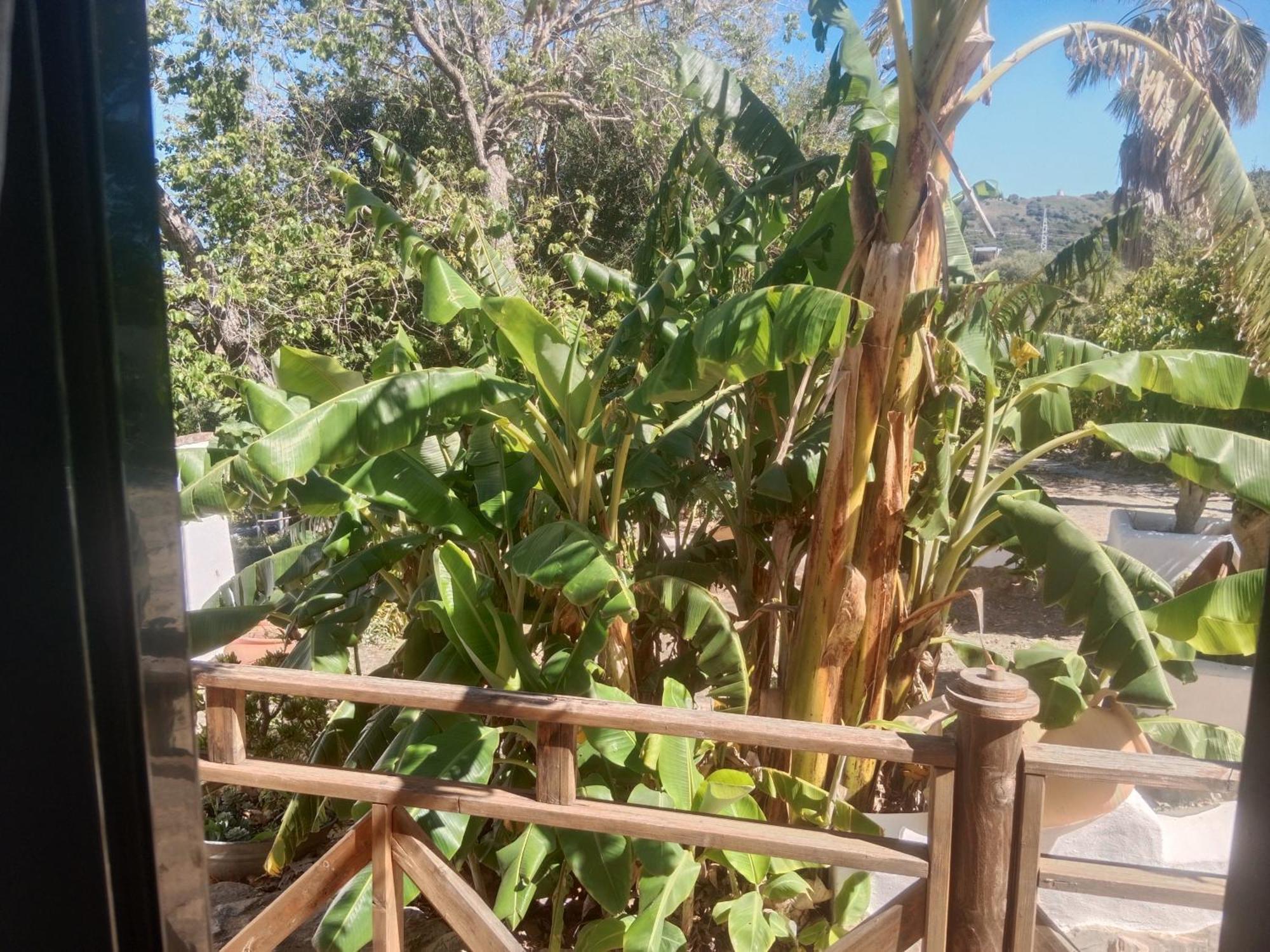 Casa Rural El Cubillo Vejer de la Frontera Esterno foto